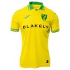 Camisola Norwich City Homen Equipamento 1ª 2025-26